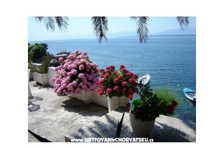 Apartmaji Šapat mora – foto 9