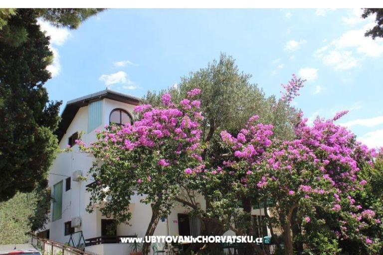 Apartmaji Vila Filipovic – foto 3