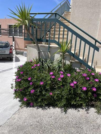 Apartmaji Leko – foto 22