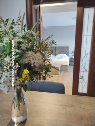 Vila Filipovic Apartmaji Žuljana – foto 14